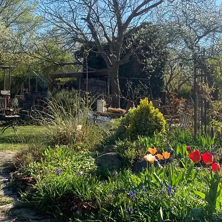 Am Netzener Apartament *