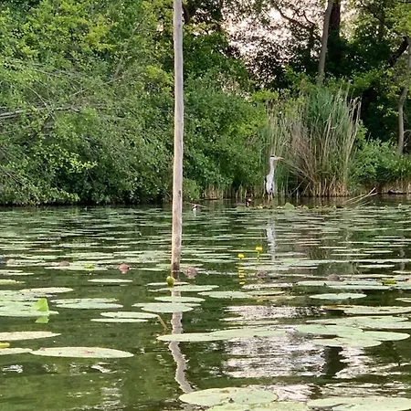 Daire Am Netzener Netzen