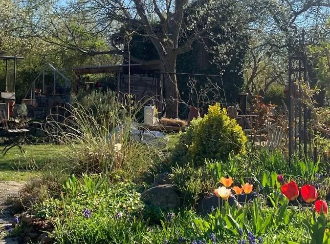 Am Netzener شقة *